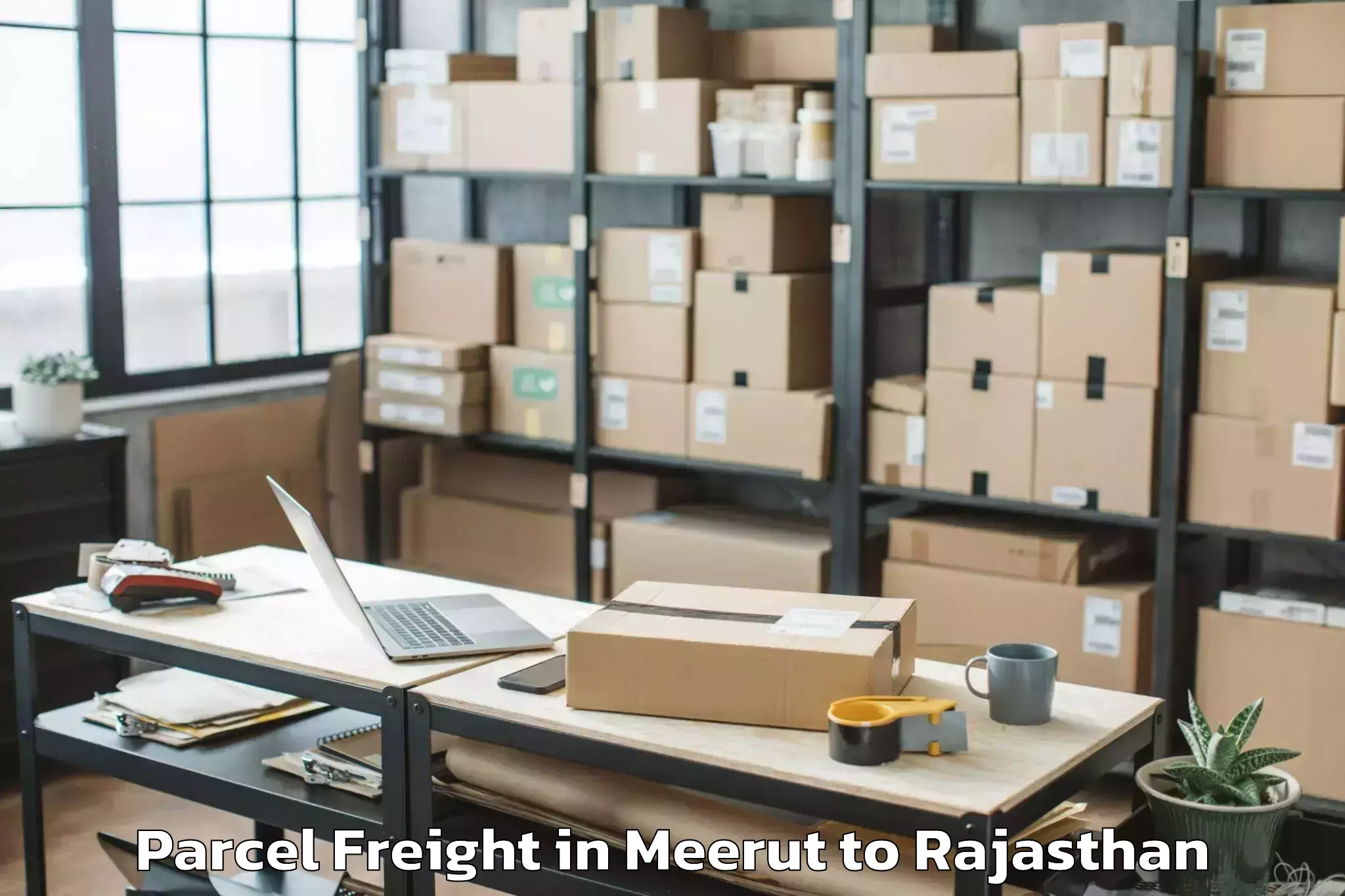 Meerut to Lalsot Parcel Freight Booking